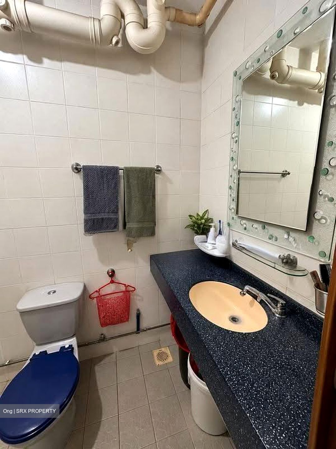 Blk 536 Panshan Grove (Bukit Panjang), HDB 5 Rooms #632920051